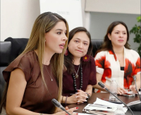 Reunión de Trabajo de la Comisión de Relaciones Exteriores América del Norte con Organizaciones de la Sociedad Civil, 19 de marzo de 2025.